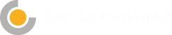 bgc-consultant-logo-white-text